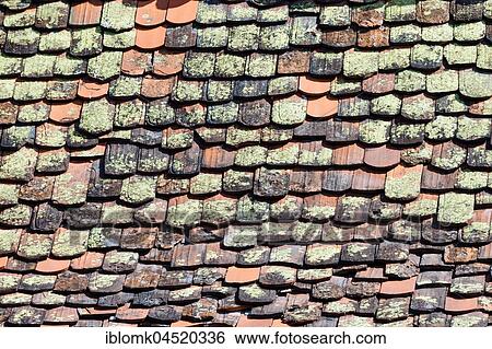 Stock Photograph - Mossy roof tiles, old roof, detail, Germany, Europe. Fotosearch