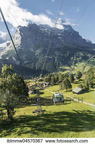Mountain railway to Grindelwald First, snow-covered north face of the Eiger, Eiger, Mönch, Jungfrau, Grindelwald, Switzerland, Europe View Large Photo Image Stock Photo - Mountain railway to Grindelwald First, snow-covered north face of the Eiger, Eiger, Mönch, Jungfrau, Grindelwald, Switzerland, Europe. Fotosearch