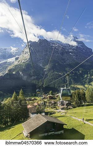 Mountain railway to Grindelwald First, snow-covered Eiger north face at the back, Eiger, Mönch, Jungfrau, Grindelwald, Bern, Switzerland, Europe View Large Photo Image Stock Photograph - Mountain railway to Grindelwald First, snow-covered Eiger north face at the back, Eiger, Mönch, Jungfrau, Grindelwald, Bern, Switzerland, Europe. Fotosearch