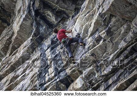 Mountaineer, climber in a steep face, Banff National Park, Rocky Mountains, Alberta, Canada, North America View Large Photo Image Stock Image - Mountaineer, climber in a steep face, Banff National Park, Rocky Mountains, Alberta, Canada, North America. Fotosearch
