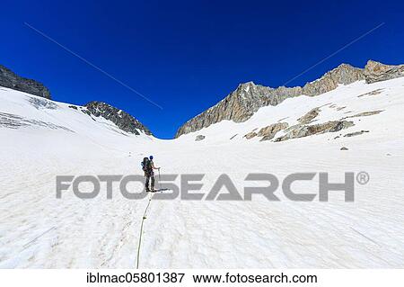Mountaineers on the Oberaar glacier, Oberaarhorn at the back, Canton Bern, Switzerland, Europe View Large Photo Image Stock Photo - Mountaineers on the Oberaar glacier, Oberaarhorn at the back, Canton Bern, Switzerland, Europe. Fotosearch