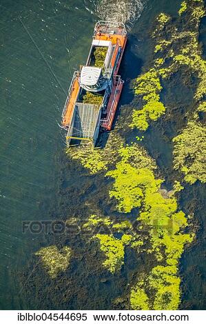 Stock Photography - Mow ship on the Kemnader lake, Kemnader Stausee, control of the Elodea, waterweed (Elodea), Bochum, Ruhr area, North Rhine-Westphalia, Germany, Europe. Fotosearch