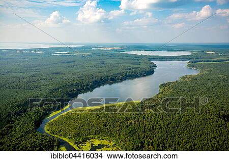 Mössel, lake, Leppinsee, forest, nature reserve, Rechlin, Mecklenburg Lake District, Mecklenburg-Western Pomerania, Germany, Europe View Large Photo Image Picture - Mössel, lake, Leppinsee, forest, nature reserve, Rechlin, Mecklenburg Lake District, Mecklenburg-Western Pomerania, Germany, Europe. Fotosearch