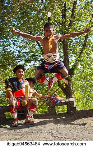Picture - Naga tribal man in traditional outfit performing a warrior dance, Kisima Nagaland Hornbill festival, Kohima, Nagaland, India, Asia. Fotosearch