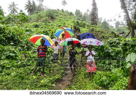 Native women with children with colourful umbrellas in the rain in the village of Rangsuksuk, island of Pentecost, Vanuatu, South Seas, Oceania and rain with, Oceania View Large Photo Image Stock Image - Native women with children with colourful umbrellas in the rain in the village of Rangsuksuk, island of Pentecost, Vanuatu, South Seas, Oceania and rain with, Oceania. Fotosearch