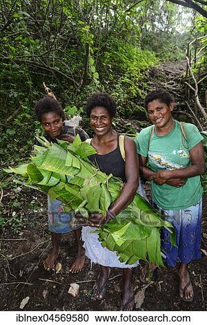 Stock Image - Native women with collected banana leaves, Tanna Island, Vanuatu, South Seas, Oceania. Fotosearch