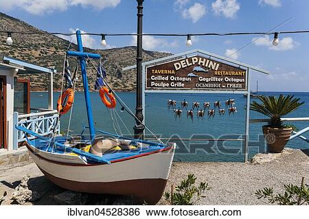 Stock Photograph - Octopuses hung up to dry on washing lines, Plaka beach, Crete, Greece, Europe. Fotosearch