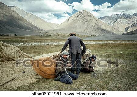 One man helps two other men shoulder their baskets of wheat to bring the harvest from the fields to the granaries, members of the ethnic group of the sedentary Wakhi, Saradh-e-Broghil, Wakhan Corridor, Afghanistan, Asia View Large Photo Image Stock Image - One man helps two other men shoulder their baskets of wheat to bring the harvest from the fields to the granaries, members of the ethnic group of the sedentary Wakhi, Saradh-e-Broghil, Wakhan Corridor, Afghanistan, Asia. Fotosearch