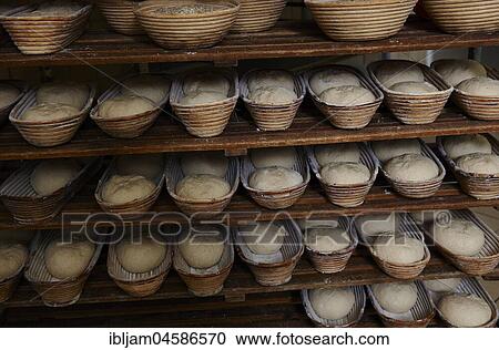 Organic bakery preparing bread loaves in baking baskets, Kerpen Eifel, Rhineland-Palatinate, Germany, Europe View Large Photo Image Stock Image - Organic bakery preparing bread loaves in baking baskets, Kerpen Eifel, Rhineland-Palatinate, Germany, Europe. Fotosearch