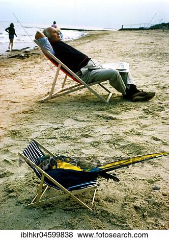 Parrot in deck chair, England, Great Britain View Large Photo Image Stock Photo - Parrot in deck chair, England, Great Britain. Fotosearch