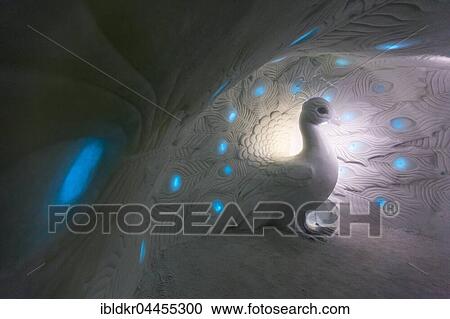 Peacock made of ice, Icehotel, Jukkasjärvi, Lapland, Norrbotten County, Sweden, Europe View Large Photo Image Stock Image - Peacock made of ice, Icehotel, Jukkasjärvi, Lapland, Norrbotten County, Sweden, Europe. Fotosearch