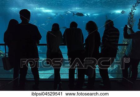 Stock Image - People inside Lisbon Oceanarium, Parque das Nacoes, Portugal, Europe. Fotosearch