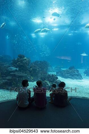 People inside Lisbon Oceanarium, Parque das Nacoes, Portugal, Europe View Large Photo Image Stock Image - People inside Lisbon Oceanarium, Parque das Nacoes, Portugal, Europe. Fotosearch