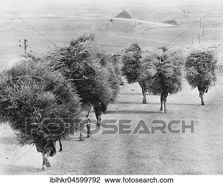 Stock Image - People transporting firewood. Fotosearch