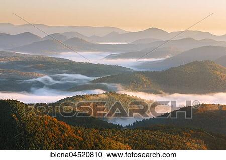 Pfälzer Wald, Fog, Sunrise, Palatinate, Rhineland-Palatinate, Germany, Europe View Large Photo Image Stock Image - Pfälzer Wald, Fog, Sunrise, Palatinate, Rhineland-Palatinate, Germany, Europe. Fotosearch