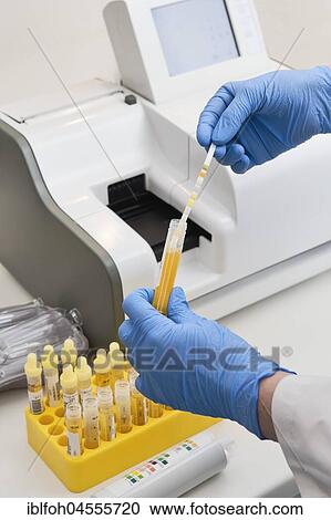 Pharmaceutical technician putting test strips in analyzer, evaluation of urine samples, hospital laboratory, North Rhine-Westphalia, Germany, Europe View Large Photo Image Stock Image - Pharmaceutical technician putting test strips in analyzer, evaluation of urine samples, hospital laboratory, North Rhine-Westphalia, Germany, Europe. Fotosearch
