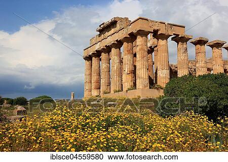 Pillars as remains, temple E with blossoming flower meadow, archaeological site, Selinunte, Sicily, Italy, Europe View Large Photo Image Stock Image - Pillars as remains, temple E with blossoming flower meadow, archaeological site, Selinunte, Sicily, Italy, Europe. Fotosearch