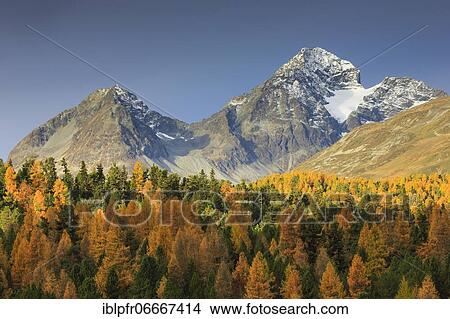 Picture - Piz Albana, Piz Julier, Upper Engadine, Grisons, Switzerland, Europe. Fotosearch