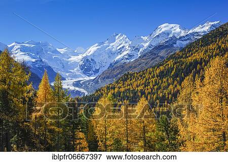 Stock Photo - Piz Piz Palü, 3905 m, Piz Bernina, 4049 m, Piz Morteratsch, 3751, Morteratsch Glacier, Upper Engadine, Grisons, Switzerland, Europe. Fotosearch