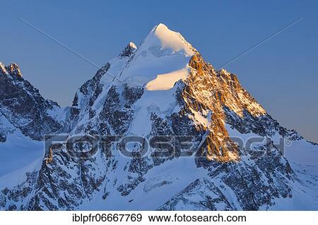 Piz Scerscen, 3971 m, Piz Roseg 3937 m, Grisons, Switzerland, Europe View Large Photo Image Stock Photo - Piz Scerscen, 3971 m, Piz Roseg 3937 m, Grisons, Switzerland, Europe. Fotosearch