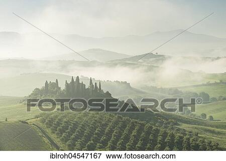 Stock Photo - Podere Belvedere, single farmstead, morning atmosphere with early fog, San Quirico d'Orcia, Val d'Orcia, Tuscany, Italy, Europe. Fotosearch