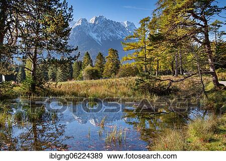 Pond on the Kramerplateauweg with Zugspitze group, Garmisch-Partenkirchen, Wetterstein range, Loisachtal, Werdenfelser Land, Upper Bavaria, Bavaria, Germany, Europe View Large Photo Image Stock Photo - Pond on the Kramerplateauweg with Zugspitze group, Garmisch-Partenkirchen, Wetterstein range, Loisachtal, Werdenfelser Land, Upper Bavaria, Bavaria, Germany, Europe. Fotosearch