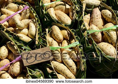 Stock Image - Potatoes on the market in Port Vila, Island of Efate, Vanuatu, South Sea, Oceania. Fotosearch