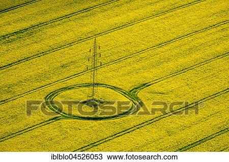 Pylon in rape field, Bad Wünnenberg, Ostwestfalen-Lippe, Bürener Land, North Rhine-Westphalia, Germany, Europe View Large Photo Image Stock Image - Pylon in rape field, Bad Wünnenberg, Ostwestfalen-Lippe, Bürener Land, North Rhine-Westphalia, Germany, Europe. Fotosearch