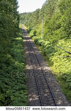 Railway line between Mukran and Prora, Mecklenburg-Vorpommern, Germany, Europe View Large Photo Image Stock Photo - Railway line between Mukran and Prora, Mecklenburg-Vorpommern, Germany, Europe. Fotosearch