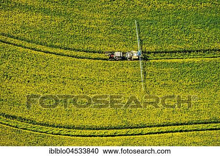 Rape field is sprayed with pesticides, agriculture, city boundaries Warstein and Anröchte-Erwitte, Tractor with spraying device, aerial photo, Warstein, Sauerland, North Rhine-Westphalia, Germany, Europe View Large Photo Image Stock Image - Rape field is sprayed with pesticides, agriculture, city boundaries Warstein and Anröchte-Erwitte, Tractor with spraying device, aerial photo, Warstein, Sauerland, North Rhine-Westphalia, Germany, Europe. Fotosearch