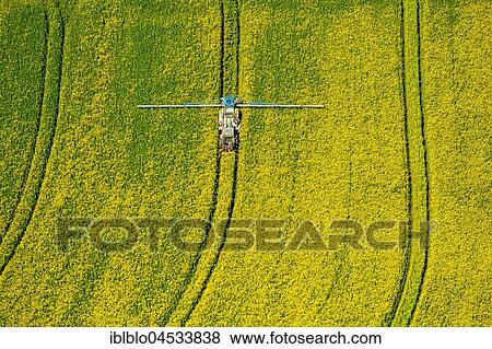 Rape field is sprayed with pesticides, agriculture, city boundaries Warstein and Anröchte-Erwitte, Tractor with spraying device, aerial photo, Warstein, Sauerland, North Rhine-Westphalia, Germany, Europe View Large Photo Image Stock Photo - Rape field is sprayed with pesticides, agriculture, city boundaries Warstein and Anröchte-Erwitte, Tractor with spraying device, aerial photo, Warstein, Sauerland, North Rhine-Westphalia, Germany, Europe. Fotosearch