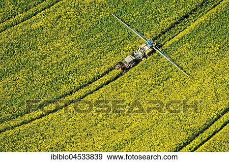 Stock Photo - Rape field is sprayed with pesticides, agriculture, city boundaries Warstein and Anröchte-Erwitte, Tractor with spraying device, aerial photo, Warstein, Sauerland, North Rhine-Westphalia, Germany, Europe. Fotosearch