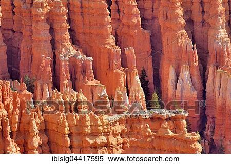 Stock Photography - Red eroded limestone columns, Bryce Canyon National Park, Sunrise Point, Utah, United States, North America. Fotosearch