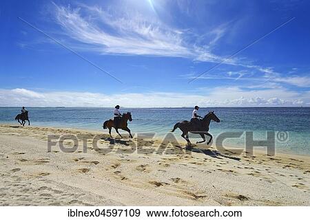 Stock Photo - Rider at Le Morne Beach, Saint Regis Resort, Le Morne Brabant Peninsula, Mauritius, Indian Ocean, Africa. Fotosearch