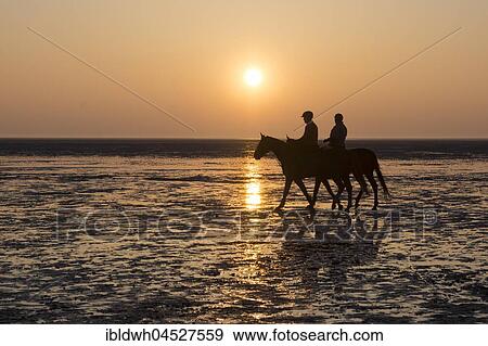 Riders at sunset in the mudflat, Lower Saxon Wadden Sea National Park, Cuxhaven, Lower Saxony, Germany, Europe View Large Photo Image Stock Photo - Riders at sunset in the mudflat, Lower Saxon Wadden Sea National Park, Cuxhaven, Lower Saxony, Germany, Europe. Fotosearch