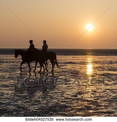 Riders at sunset in the mudflat, Lower Saxon Wadden Sea National Park, Cuxhaven, Lower Saxony, Germany, Europe View Large Photo Image Stock Photography - Riders at sunset in the mudflat, Lower Saxon Wadden Sea National Park, Cuxhaven, Lower Saxony, Germany, Europe. Fotosearch