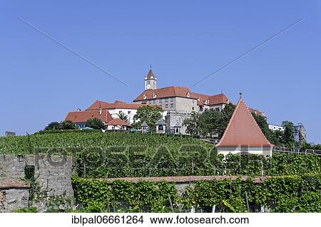 Riegersburg and in front of it a vineyard, Styria, Austria, Europe View Large Photo Image Picture - Riegersburg and in front of it a vineyard, Styria, Austria, Europe. Fotosearch