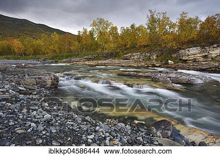 Picture - River Abiskojakka River flows through Abisko Canyon, river landscape in autumn, Abisko National Park, Sweden, Europe. Fotosearch