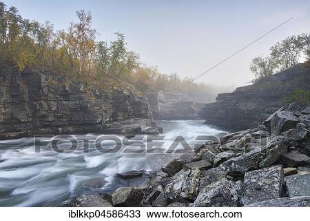 Stock Image - River Abiskojakka River flows through Abisko Canyon, river landscape in autumn at morning fog, Abisko National Park, Sweden, Europe. Fotosearch