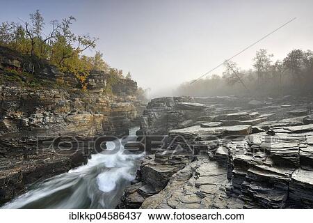 Stock Photo - River Abiskojakka River flows through Abisko Canyon, river landscape in autumn at morning fog, Abisko National Park, Sweden, Europe. Fotosearch