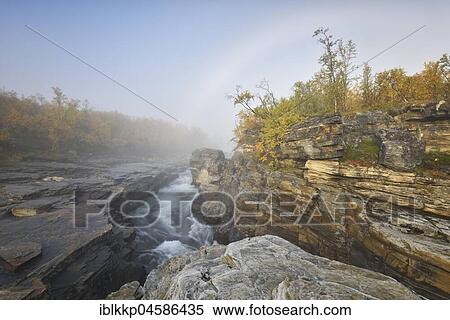Stock Photography - River Abiskojakka River flows through Abisko Canyon, river landscape in autumn at morning fog, Abisko National Park, Sweden, Europe. Fotosearch