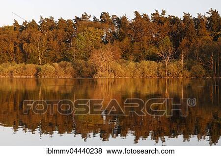 Stock Photo - River marsh, River Peene, Peenetal Nature Park, Mecklenburg-Western Pomerania, Germany, Europe. Fotosearch