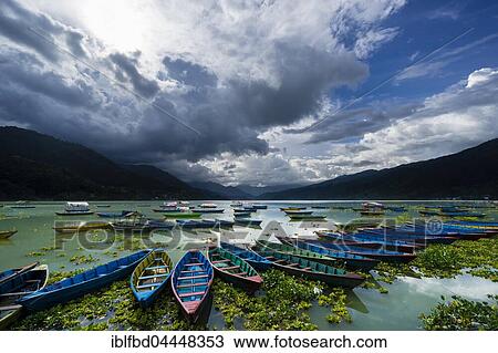 Rowing boats are tight together at Phewa Lake, dark thunderstorm clouds are rising at the sky, Pokhara, Kaski District, Nepal, Asia View Large Photo Image Stock Image - Rowing boats are tight together at Phewa Lake, dark thunderstorm clouds are rising at the sky, Pokhara, Kaski District, Nepal, Asia. Fotosearch
