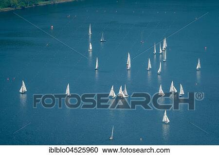 Stock Image - Sailing regatta on Lake Baldeney, sailing boats, Essen, Ruhr area, North Rhine-Westphalia, Germany, Europe. Fotosearch