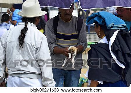 Stock Image - Sale of a dog puppy at the weekly cattle market, Otavalo, Imbabura province, Ecuador, South America. Fotosearch