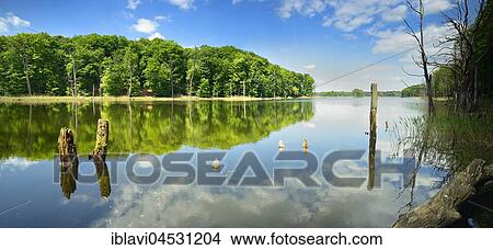 Picture - Schweingartensee, Müritz National Park, Mecklenburg-Western Pomerania, Germany, Europe. Fotosearch