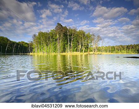 Schweingartensee, Müritz National Park, Mecklenburg-Western Pomerania, Germany, Europe View Large Photo Image Stock Photo - Schweingartensee, Müritz National Park, Mecklenburg-Western Pomerania, Germany, Europe. Fotosearch