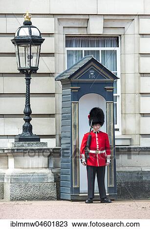 Stock Image - Security guard of the Royal Guard with bearskin cap, Buckingham Palace, London, England, Great Britain. Fotosearch