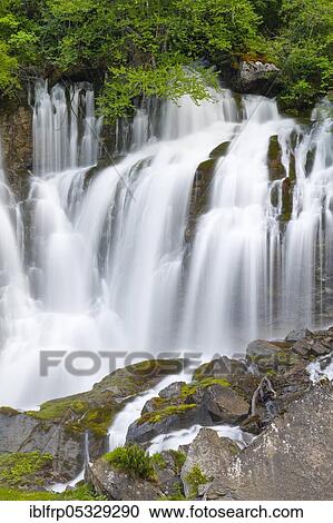 Stock Image - Seven wells, Simmenquelle, Simmental, Bern, Bernese Oberland, Switzerland, Europe. Fotosearch