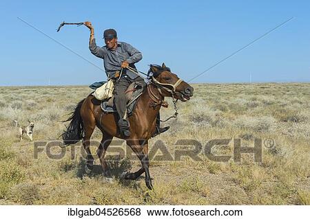 Sheep Herder with horsewhip, Tien Shan Mountains, Kazakhstan, Asia View Large Photo Image Stock Photo - Sheep Herder with horsewhip, Tien Shan Mountains, Kazakhstan, Asia. Fotosearch